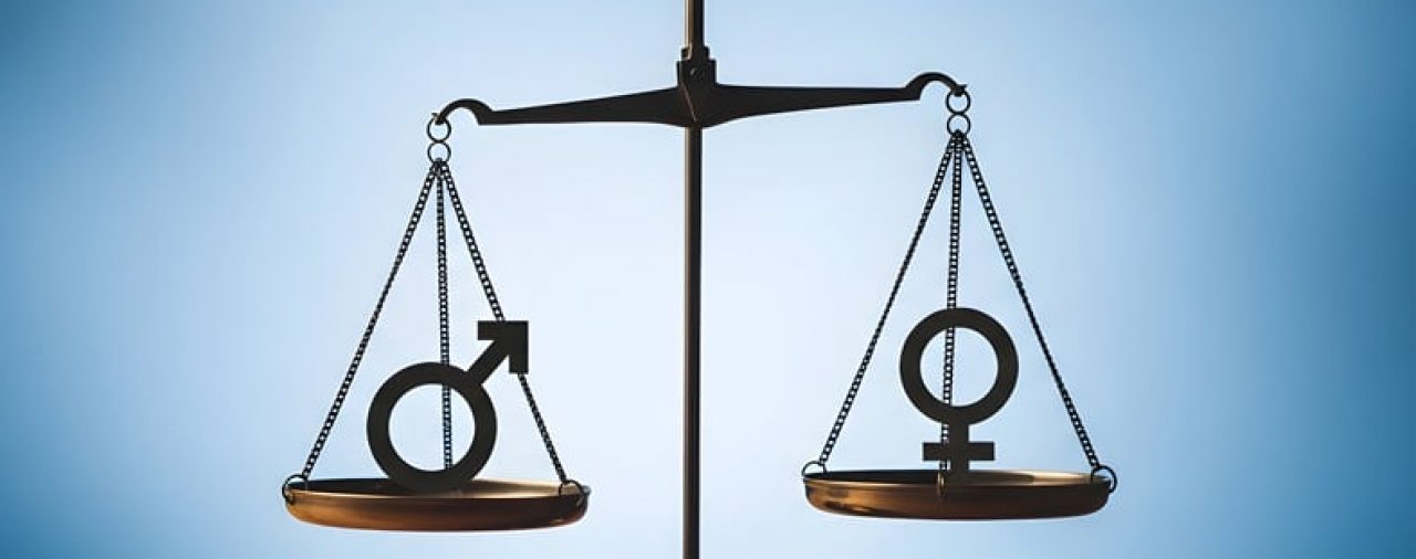 HB 229